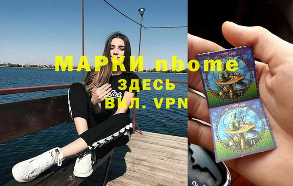 мет Алексин