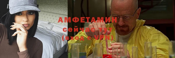 мет Алексин