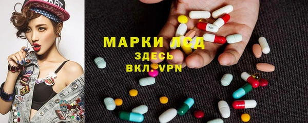 мет Алексин