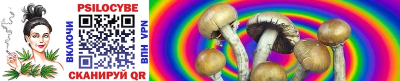 Галлюциногенные грибы GOLDEN TEACHER  MEGA сайт  Гаврилов Посад  как найти  